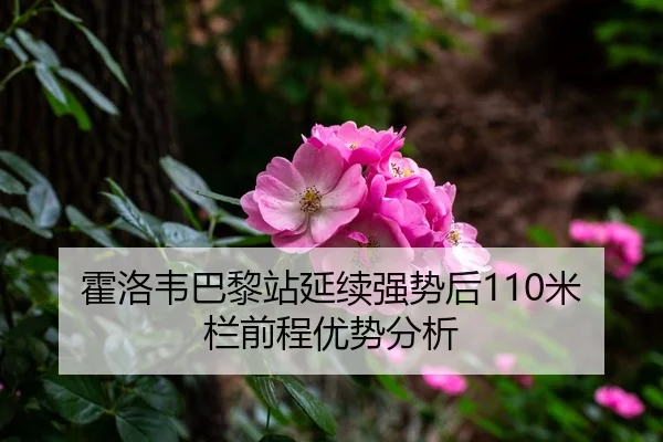 霍洛韦巴黎站延续强势后110米栏前程优势分析