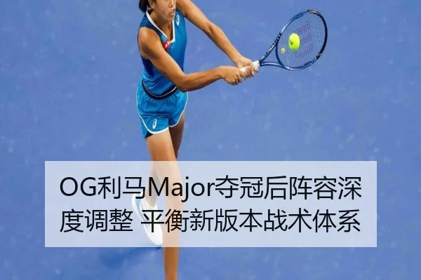 li-ma-duo-guan-hou-zhen-rong-shen-du-tiao-zheng-ping-heng-xin-ban-ben-zhan-shu-ti-xi-3-431.jpg