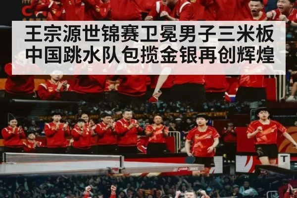 王宗源世锦赛卫冕男子三米板 中国跳水队包揽金银再创辉煌
